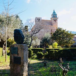 Marton Valldemossa Turismo De Interior